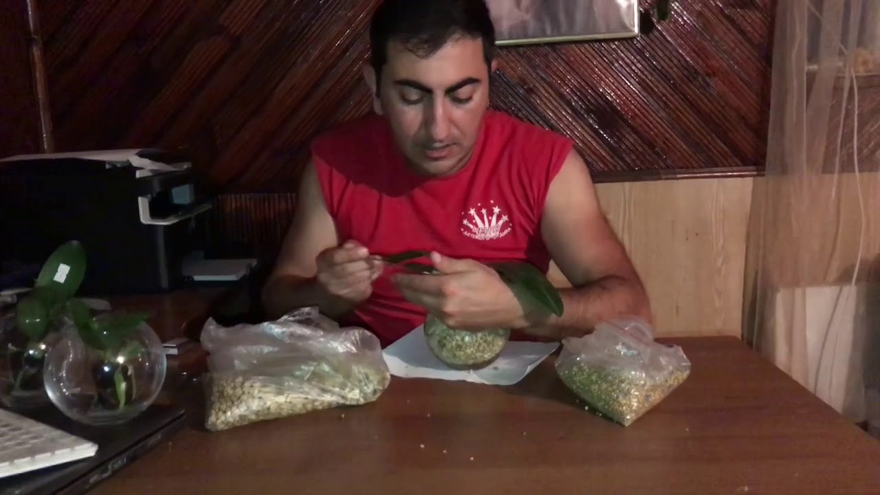 Пересадка подростков, размер 1,7 и 2,5