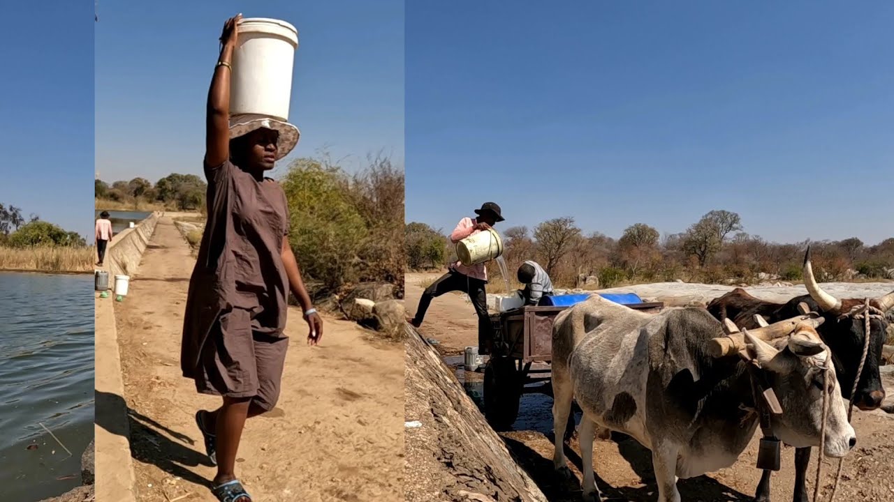 Village life. #africa #zimyoutuber #villagelife
