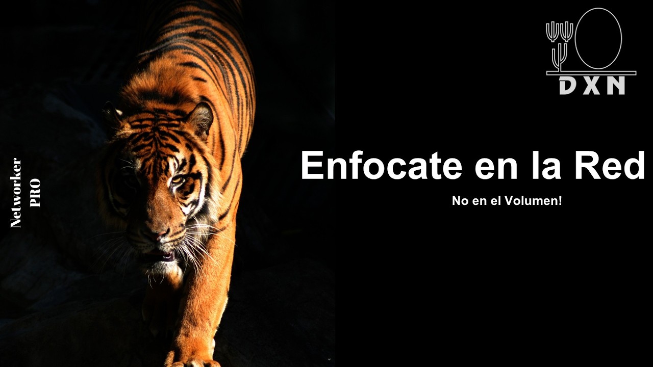 enfocate en la red