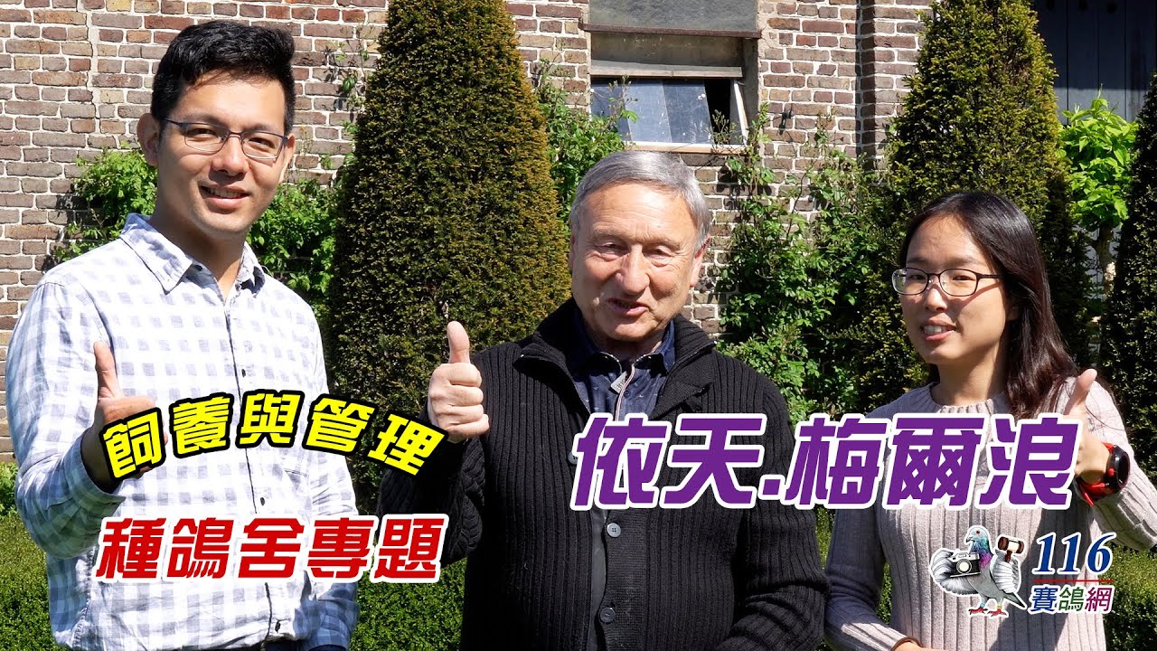 【配對環境】歐洲種鴿舍專題-依天.梅爾浪丨【Feeding and Management#19】European Breeding loft- Etienne Meirlaen