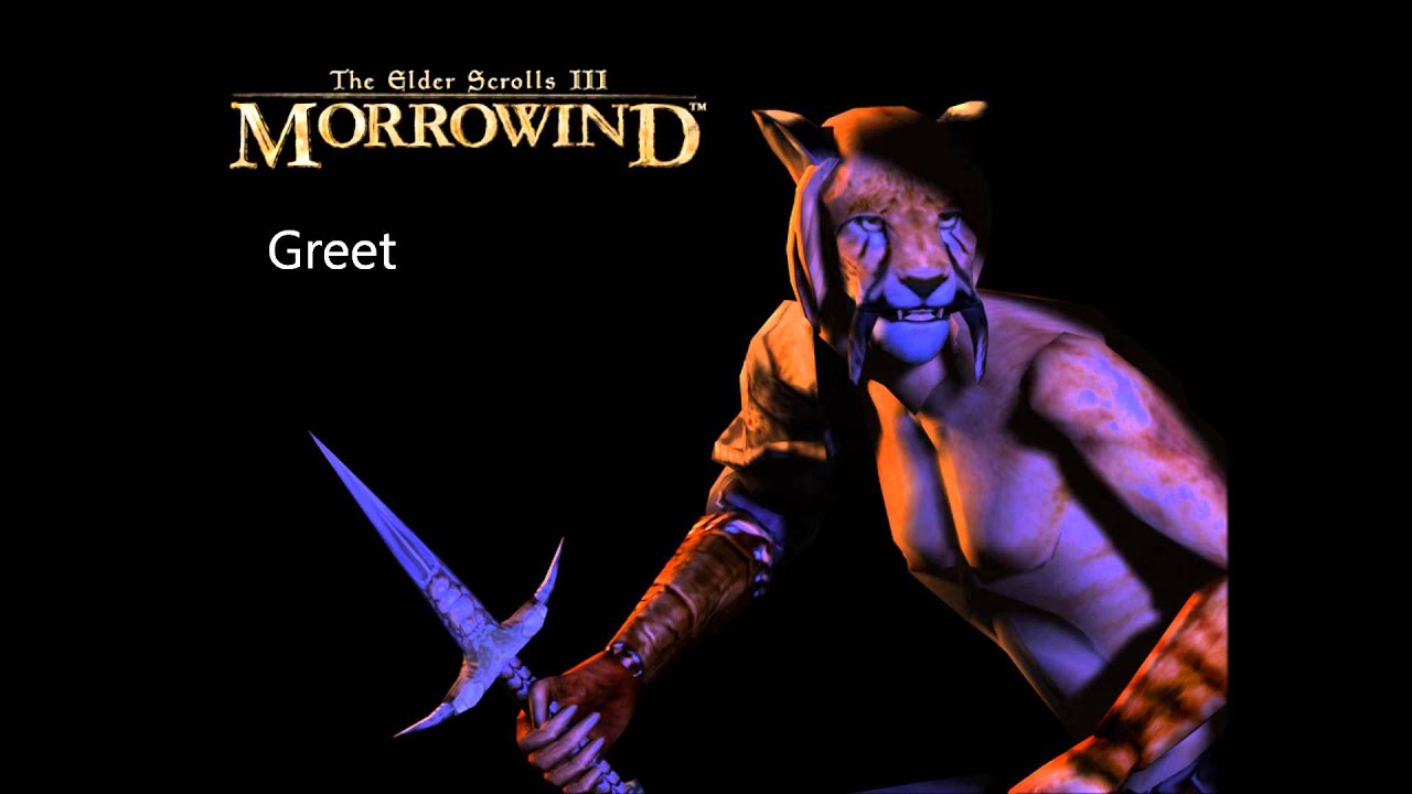 Morrowind Male Khajiit Responses