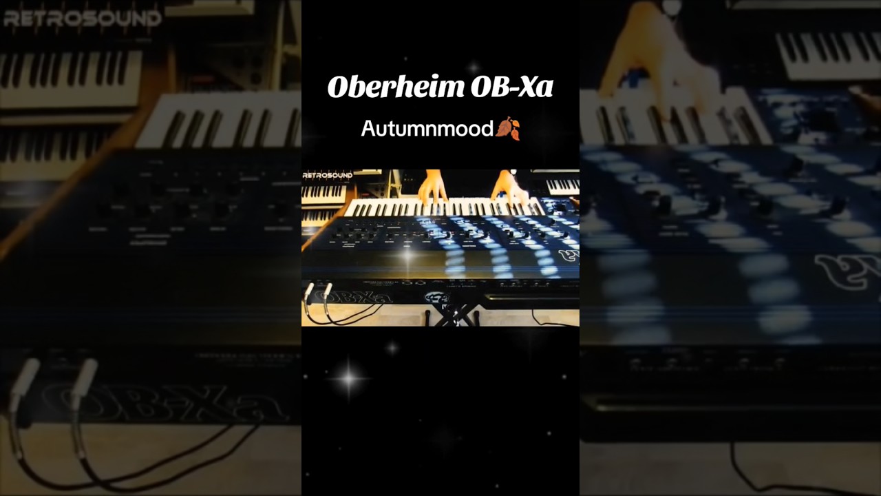 Oberheim OB-Xa 🎹🍂 #synthdemo #synthesizer #synth #retrosound #electronicmusic #music #synthesizers