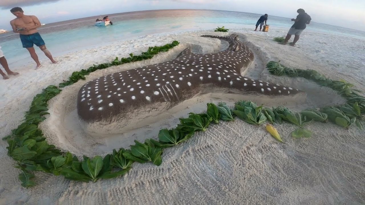 2023 March - Maldives Liveaboard
