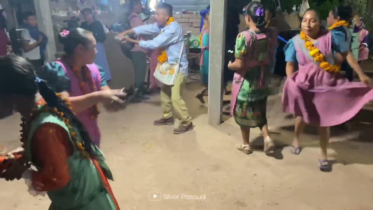 Promesa del Padrino de San Lucas |Baile de los toritos