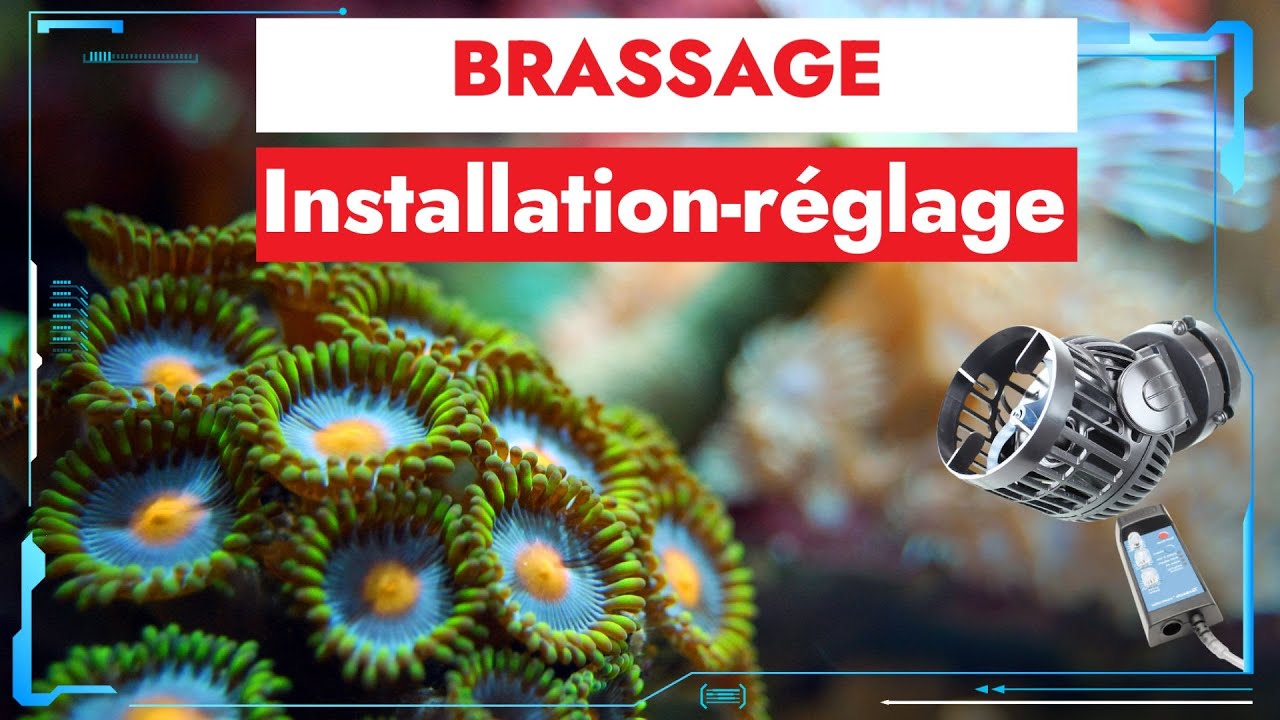 Pompes de brassage Installation réglage et conseils pour aquarium eau de mer