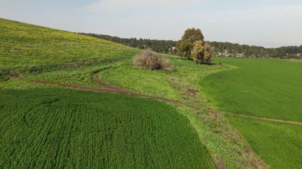 גבעת ישעיהו באיזור מגידו 01/2026