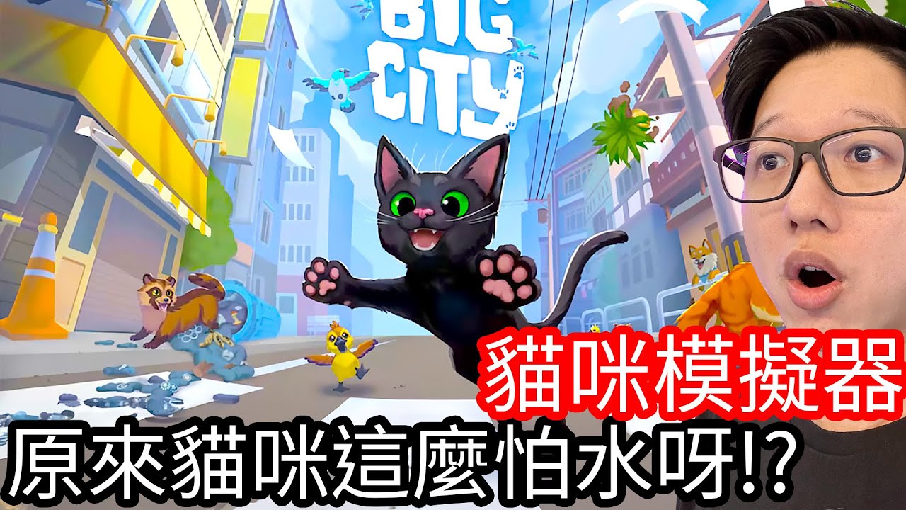 【Kim阿金】貓咪模擬器！不當youtuber來當一隻貓！《小貓咪大城市》