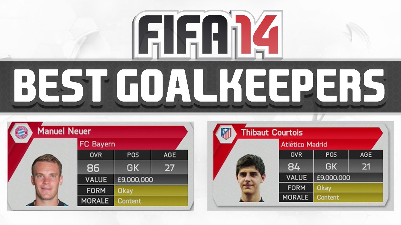 FIFA 14 Career Mode: The Best Goalkeepers To Buy! (Career Mode Guide!)