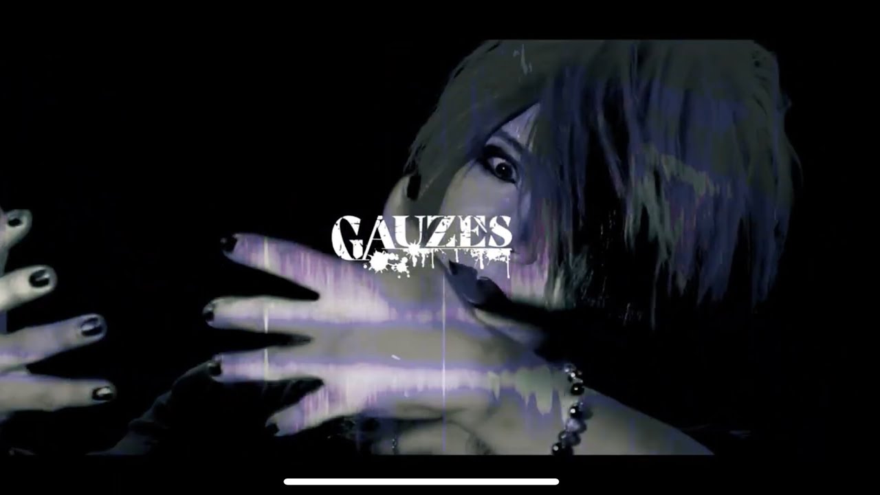 GAUZES 