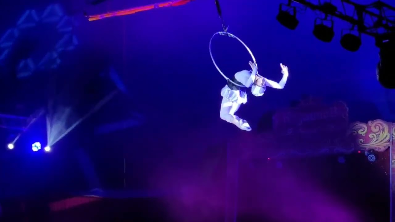Aerial hoop. Doll.