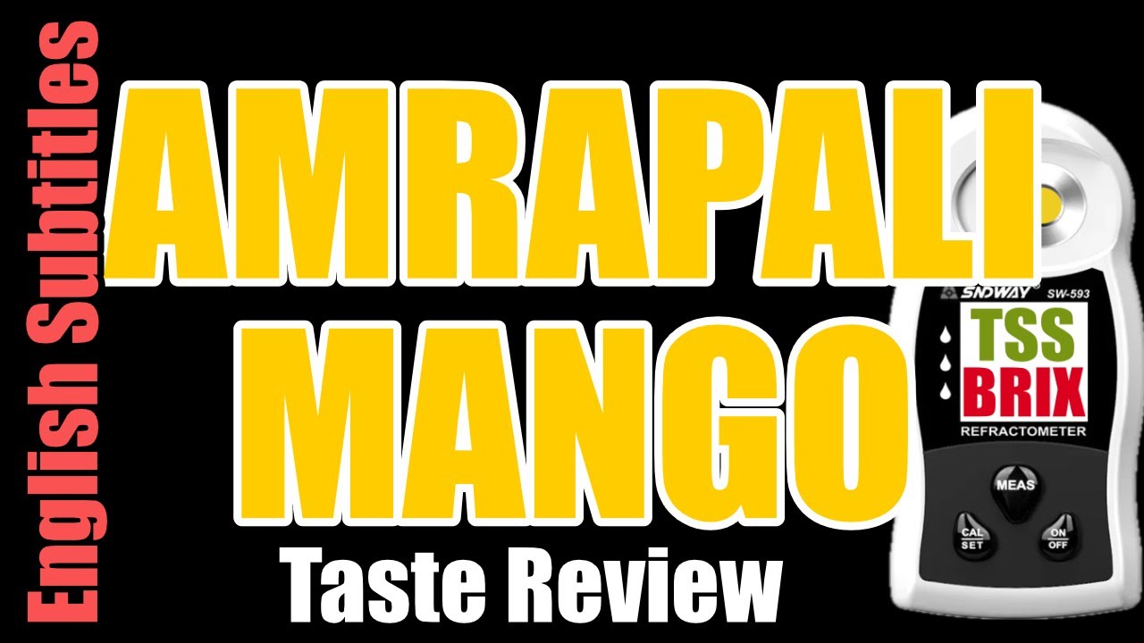 EP-30 അമ്രപാലി മാമ്പഴം രുചിയും മധുരവും/Amrapali mango Malayalam taste review TSS BRIX
