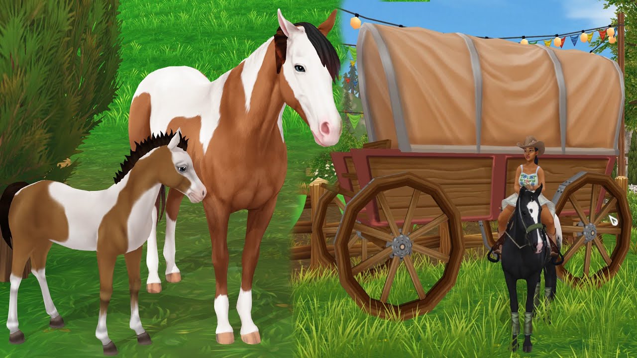 Camp Western Star Stable Summer Update