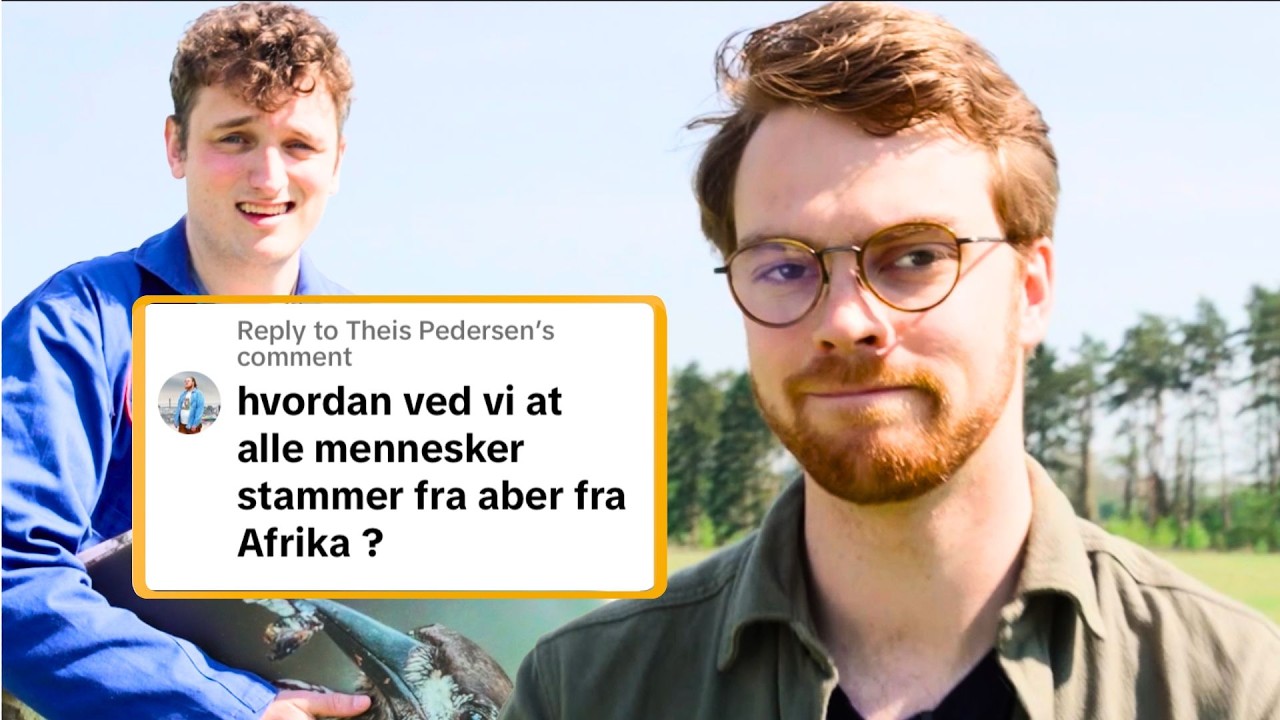 Hvordan ved vi, at EVOLUTIONS-TEORIEN passer?