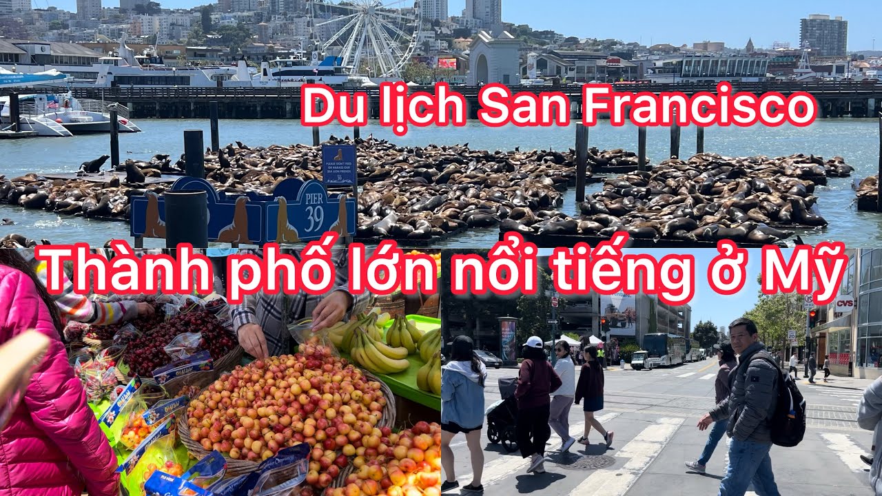 Du lịch San Francisco// thành phố lớn nổi tiếng ở Mỹ