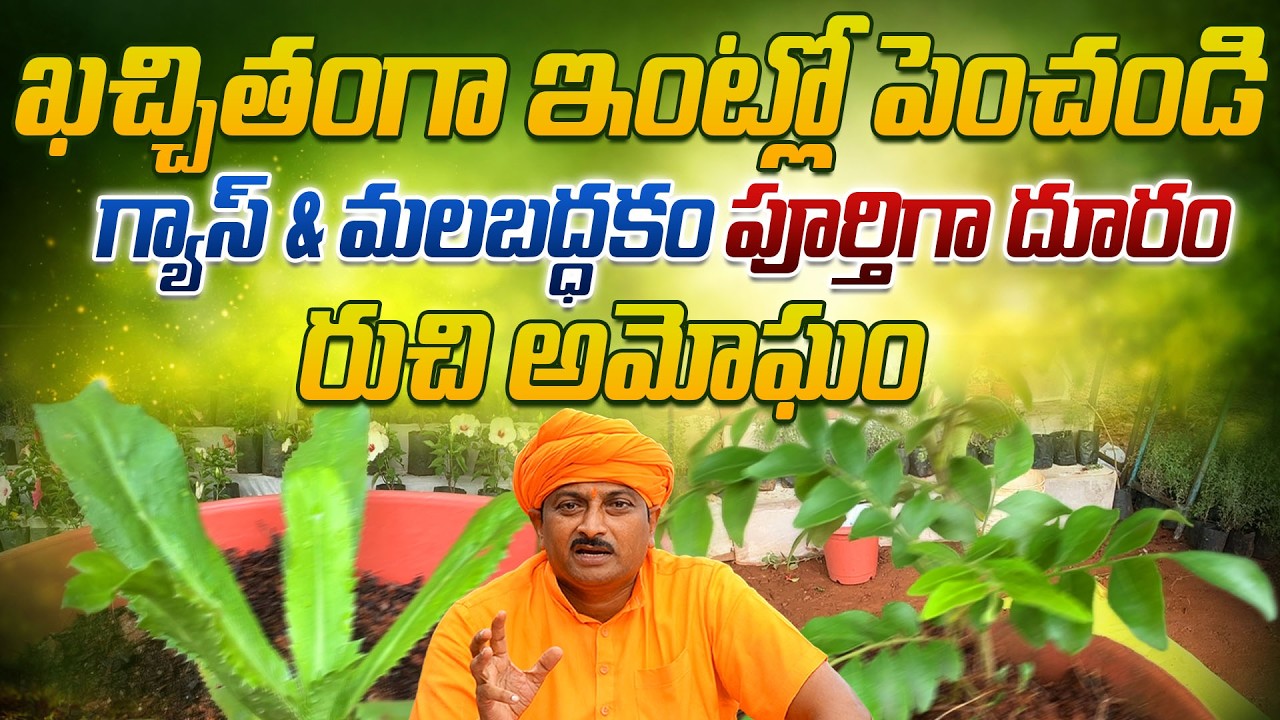 ఖచ్చితంగా ఇంట్లో పెంచండి గ్యాస్, మలబడం దూరం రుచి అమోఘం| Dr. Ravivarma | AYUR MANTRA