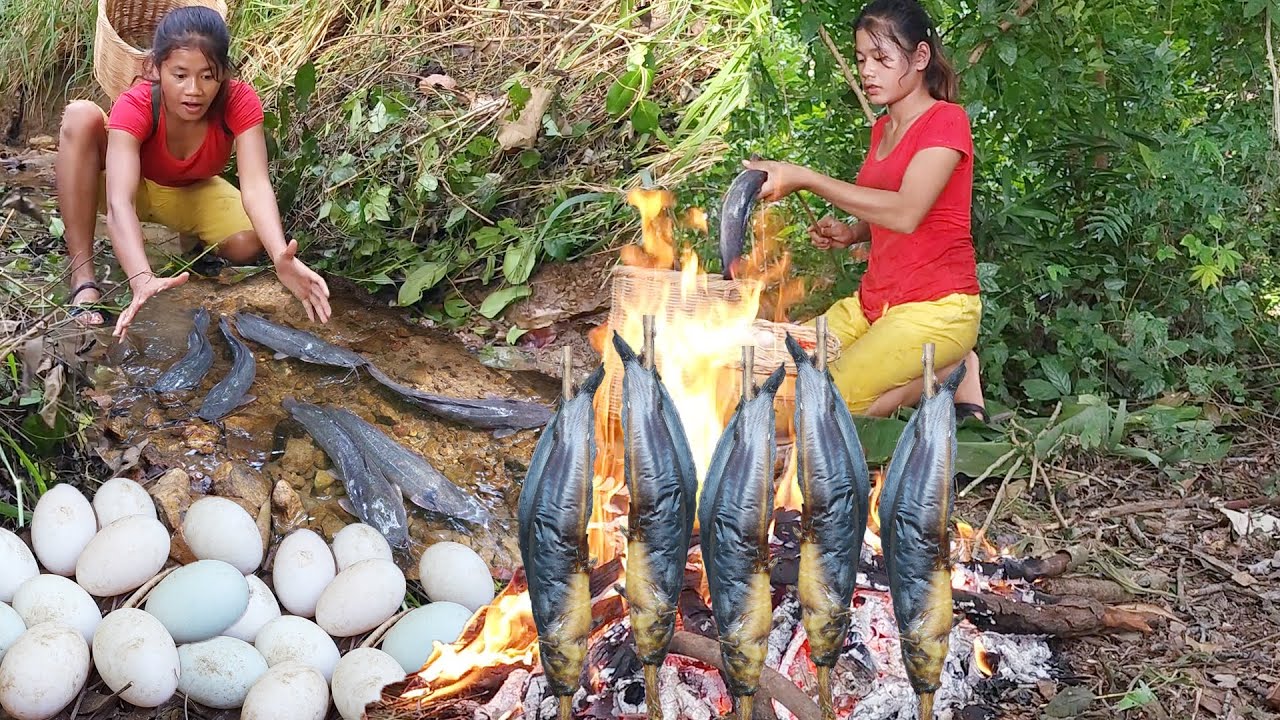 Catch catfish, Pick egg for food | Grilled fish and egg for dinner | Survival solo in jungle