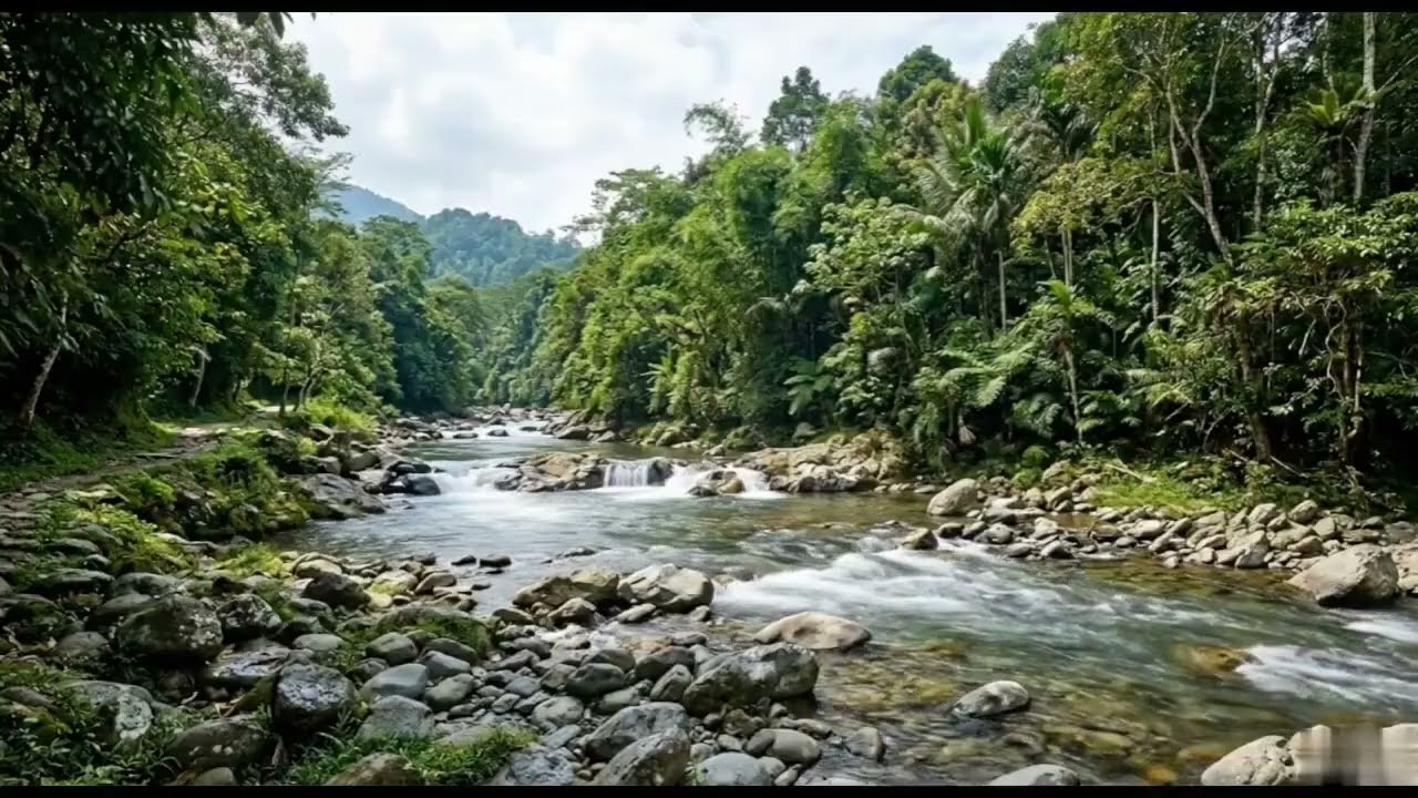 Relaxing River Sounds in Tropical Forest 🌿 | Natural Water Flow for Sleep, Study & Meditation