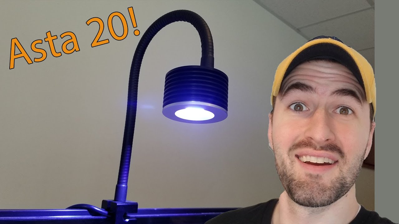 Lominie Asta 20 - Functionality and First Impressions!