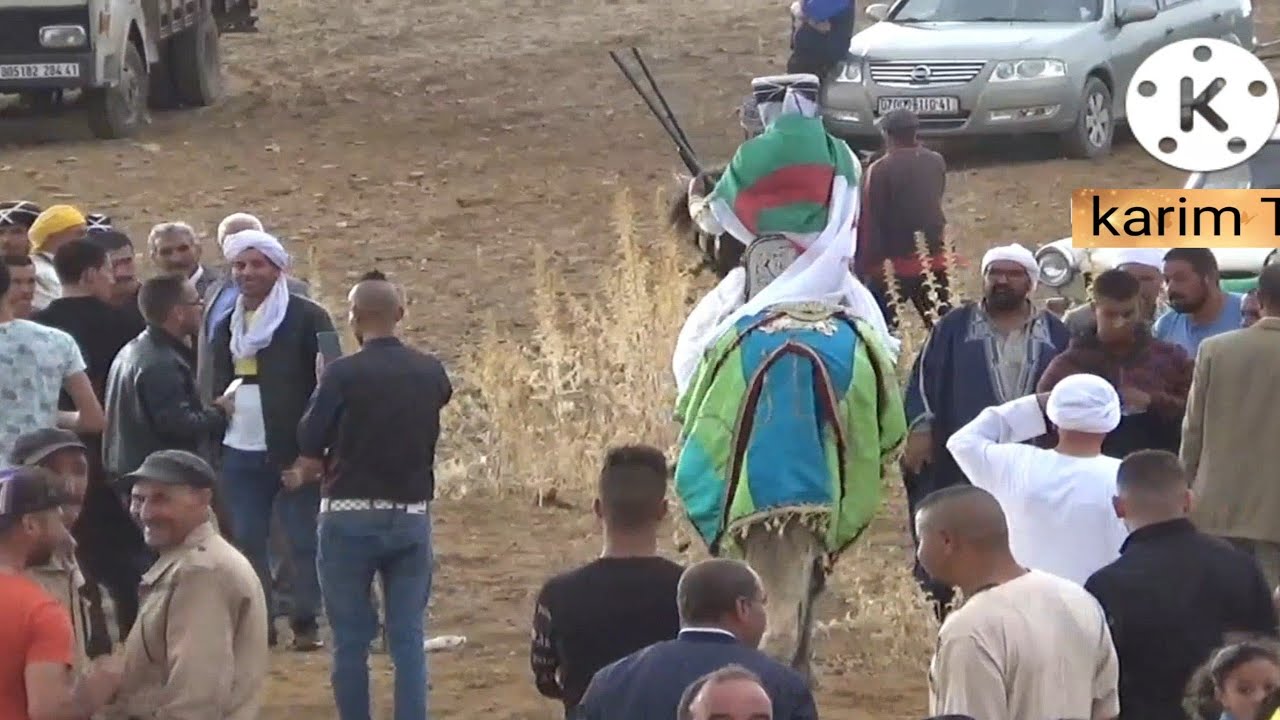 عرس شنايريةV04فرسان مرسط وبريش وسدراتة ونزة وتاورة وبئرالذهب والعاتر وبوخضرة والكويف في ملاق ونزة