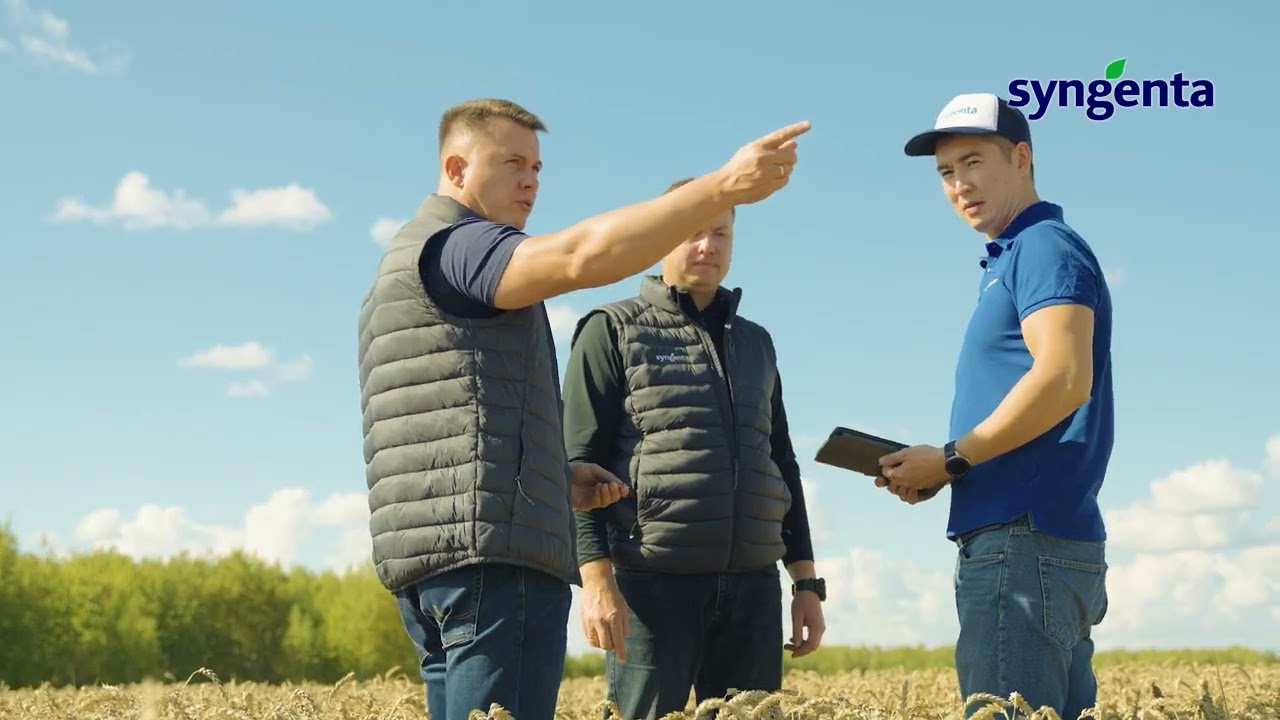 ЭЛАТУС&reg; Эйс  - новый SDHI-фунгицид для защиты зерновых культур от комплекса грибных болезней.