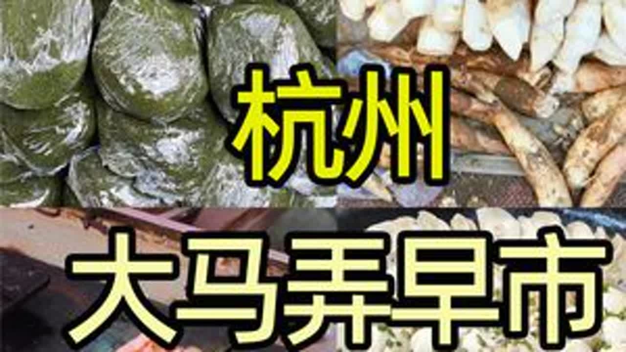 浙江杭州大马弄早市，感受浓浓烟火气，看看都有哪些美食？ #浙江杭州 #杭州早市 #大马弄 #杭州美食