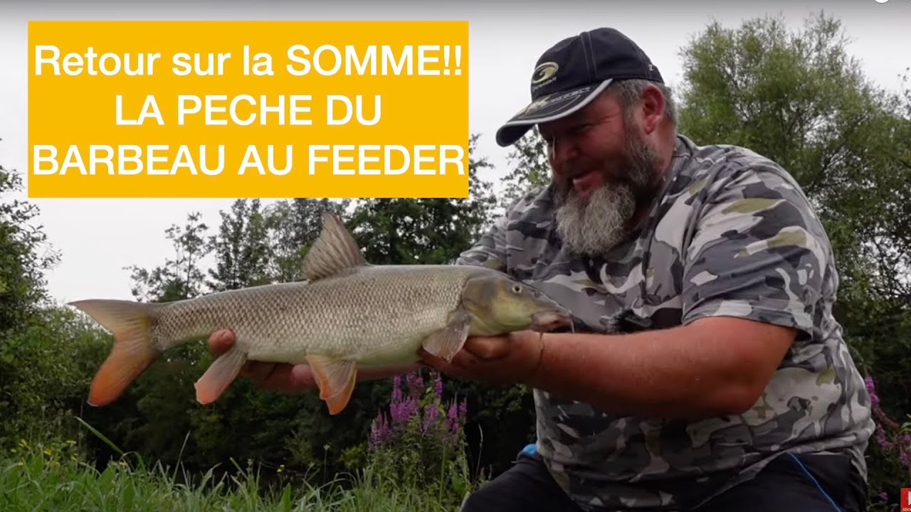 Retour sur LA SOMME!!  PECHE DU BARBEAU AU FEEDER!!   4K