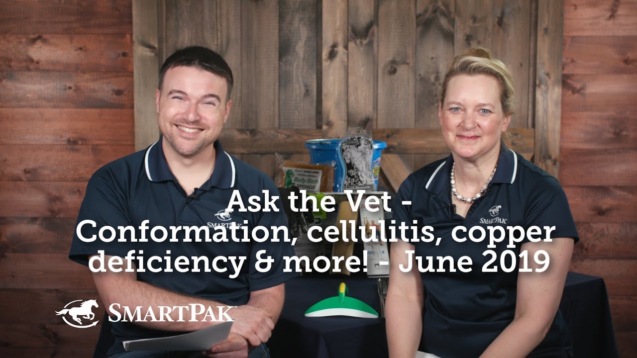 Ask the Vet - Conformation, cellulitis, copper deficiency and more! - June 2019