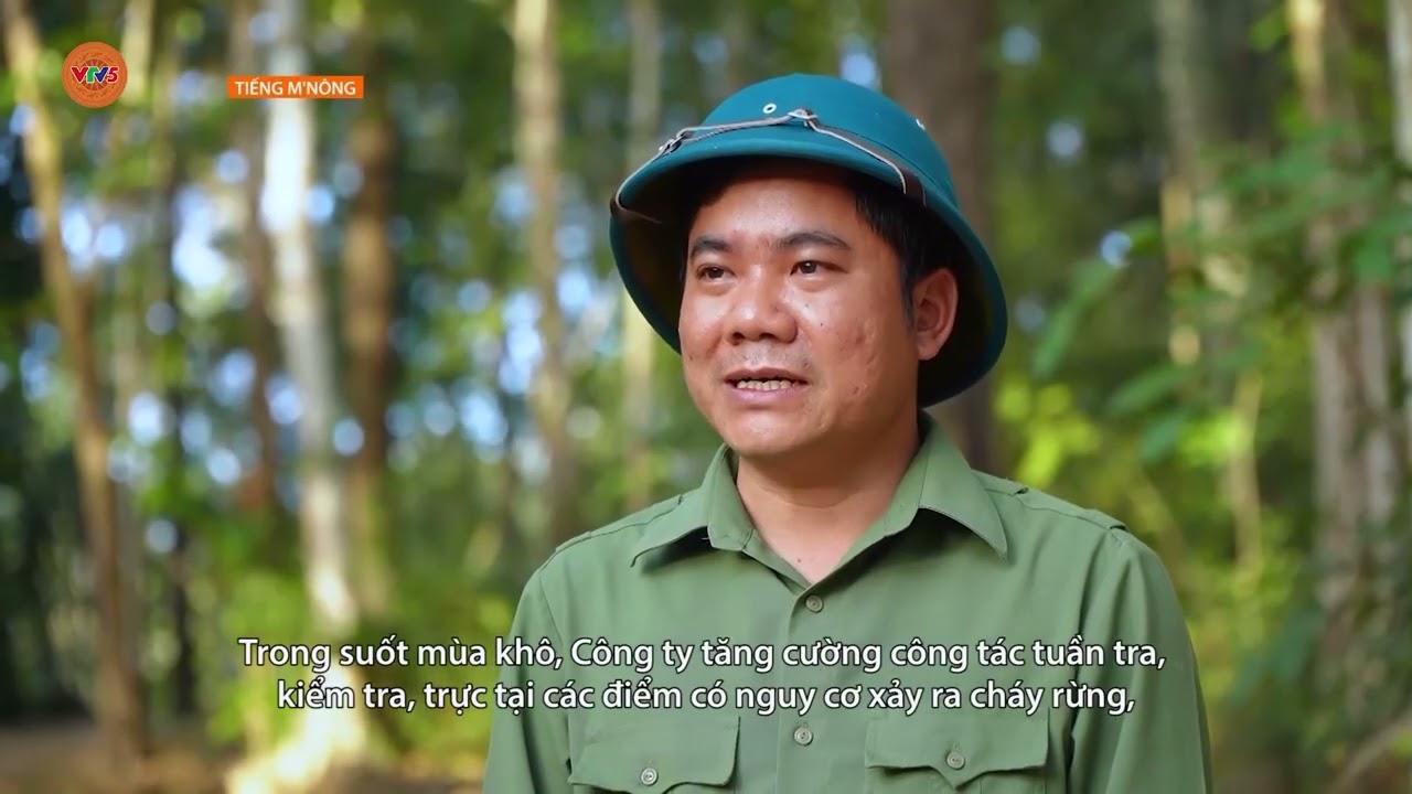 [TIẾNG M'NÔNG] NỖ LỰC BẢO VỆ RỪNG GIỮA MÙA KHÔ | VTV5