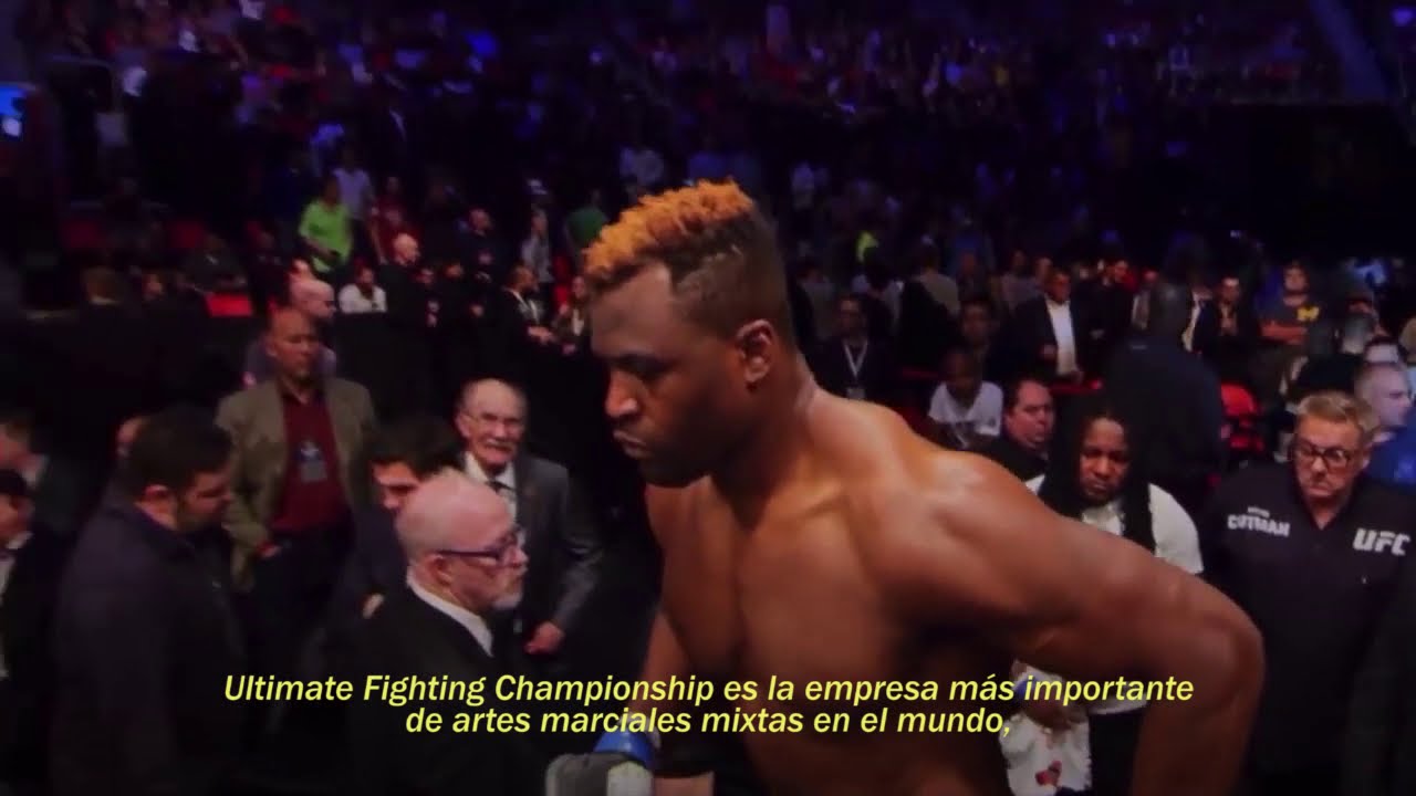 &iquest;Qu&eacute; es UFC? MMA COLOMBIA te ense&ntilde;a!