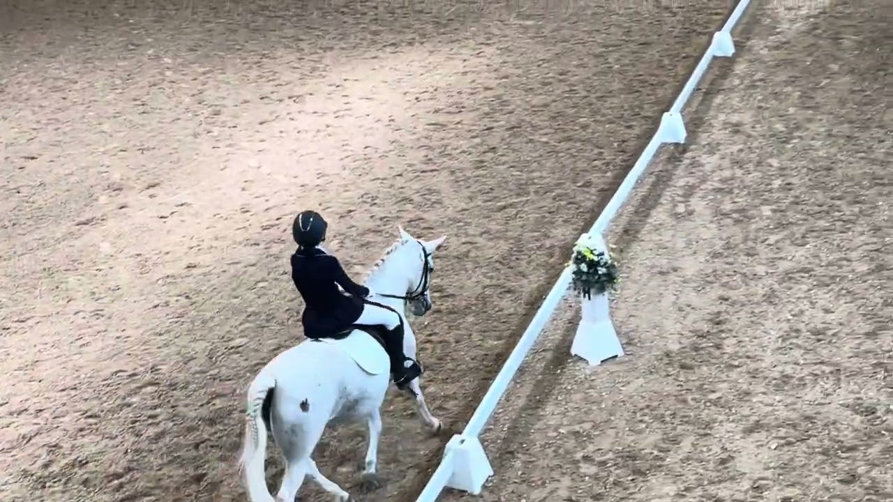 Brevetto DRESSAGE E80 Nicole con Trudy 21 aprile 2024
