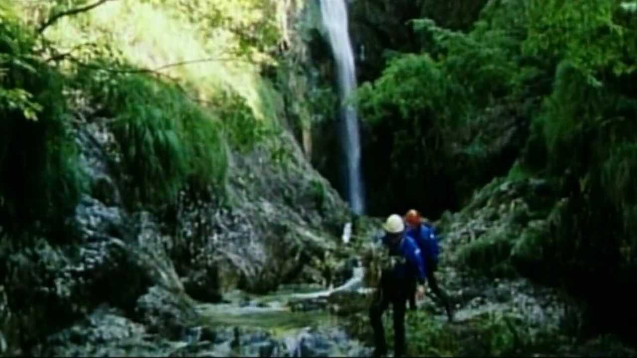 Grapa Gačnik