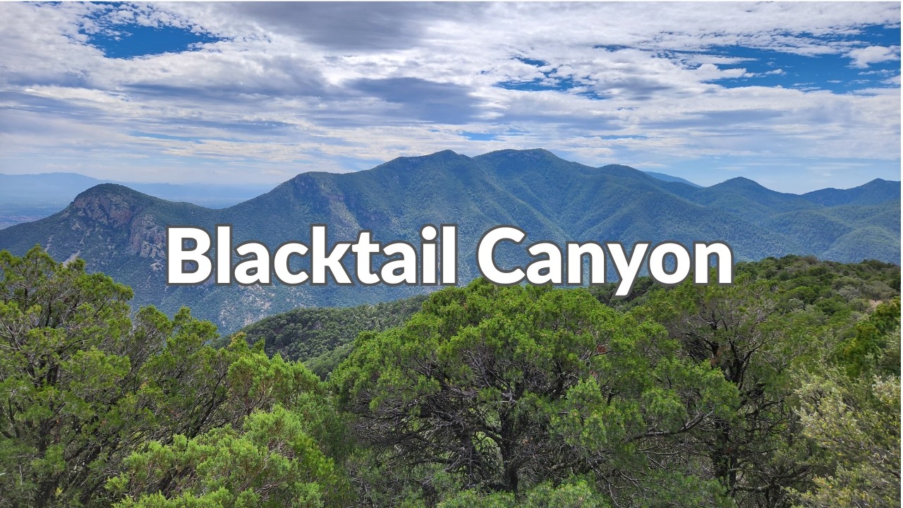 To hike? Or not to hike? | Blacktail Canyon & Pond | Fort Huachuca | Sierra Vista Arizona