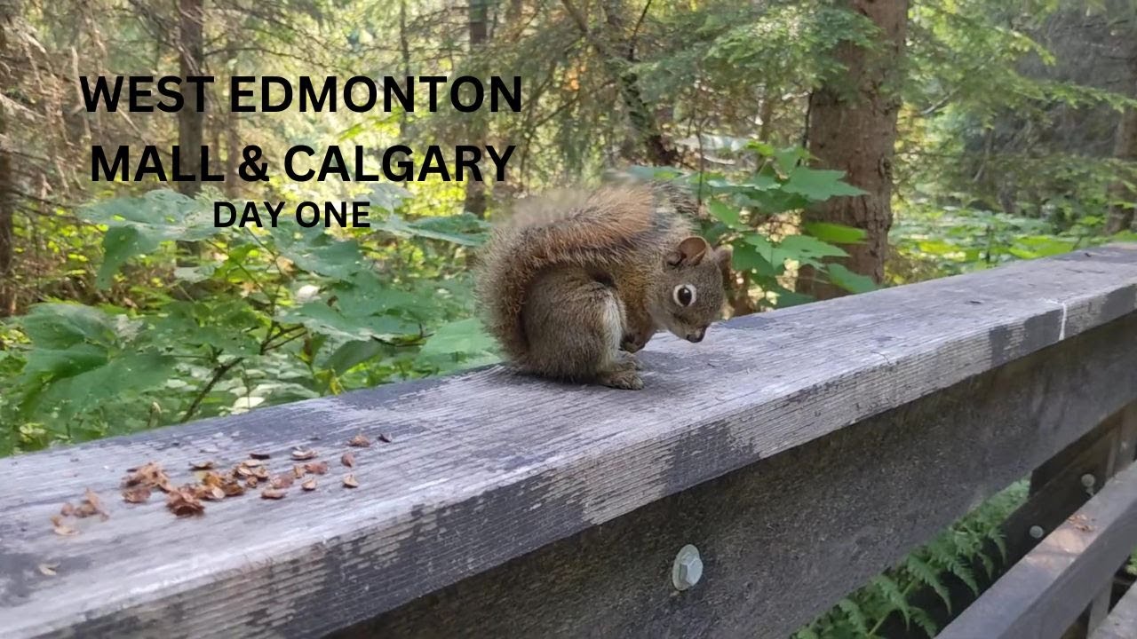 West Edmonton Mall & Calgary: Day One (Ancient Forest, Rearguard Falls, Jasper & Mr. Mikes)