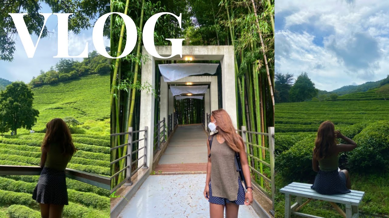 KOREA TRAVEL VLOG | GWANGJU, Boseong Green Tea Field, Bamboo Forest | Life in Korea | Black in Korea
