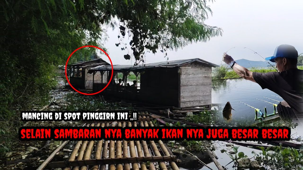 Cuma bayar 10 ribu,,!! Sambaran banyak ikan besar besar || Mancing Cirata terbaru