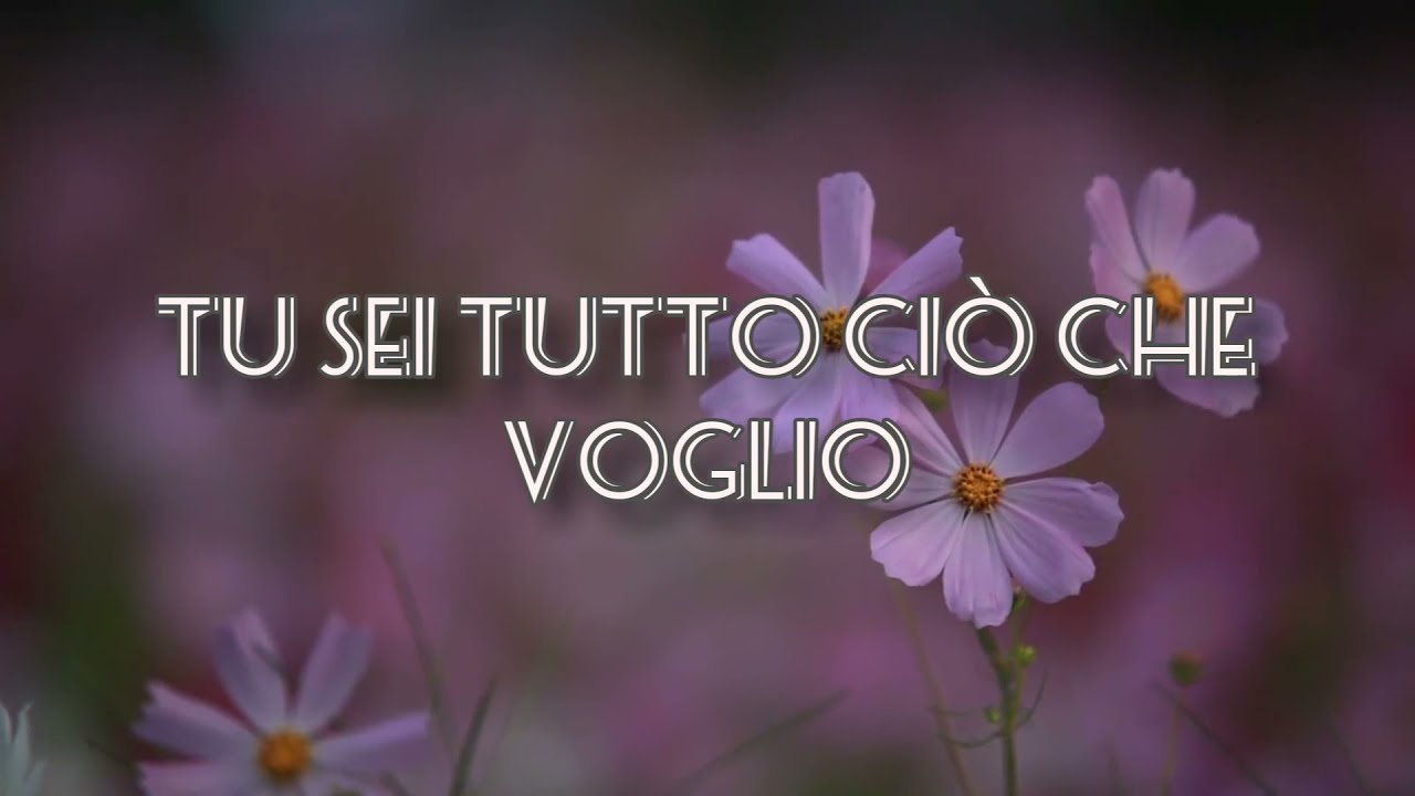 Sei tutto ciò che voglio ❤