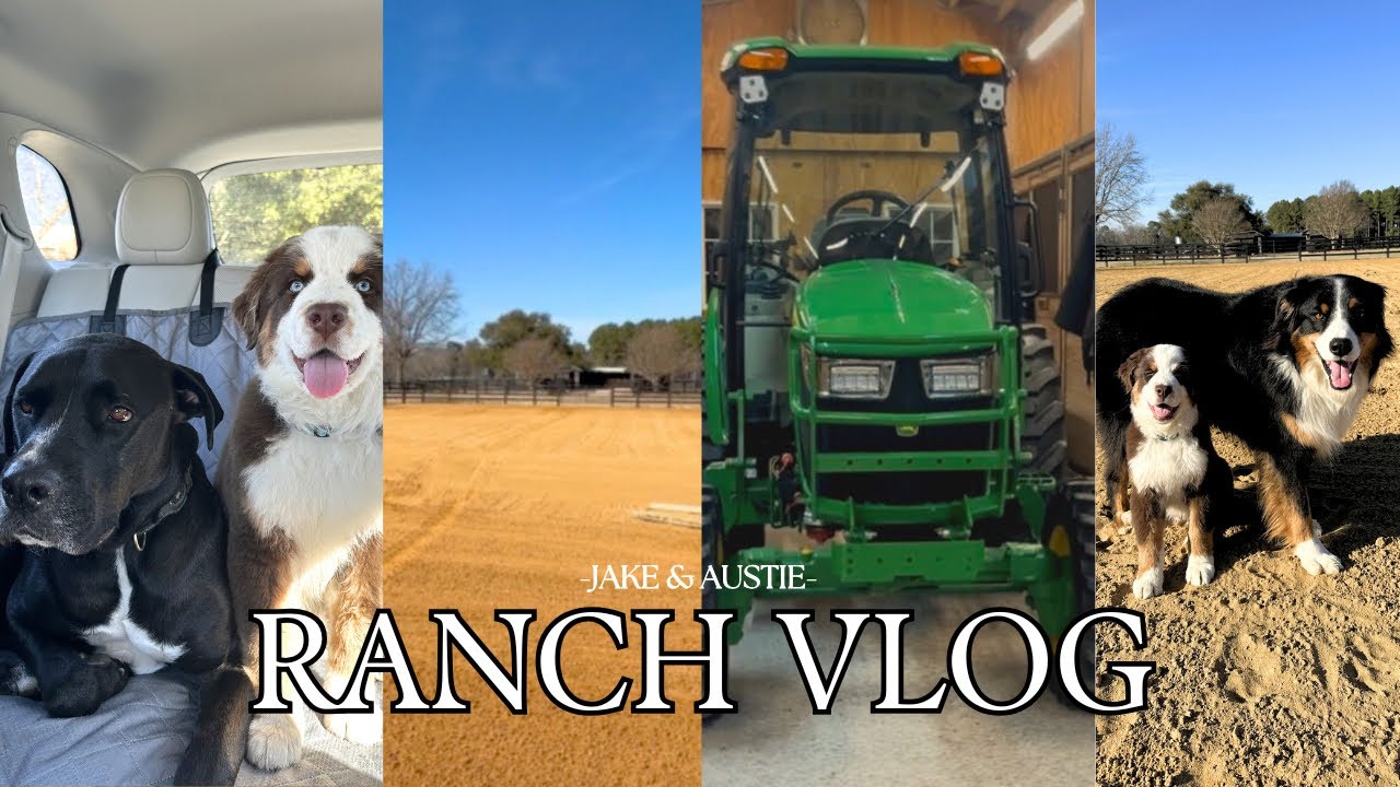 VLOG: day in the life at the ranch! 