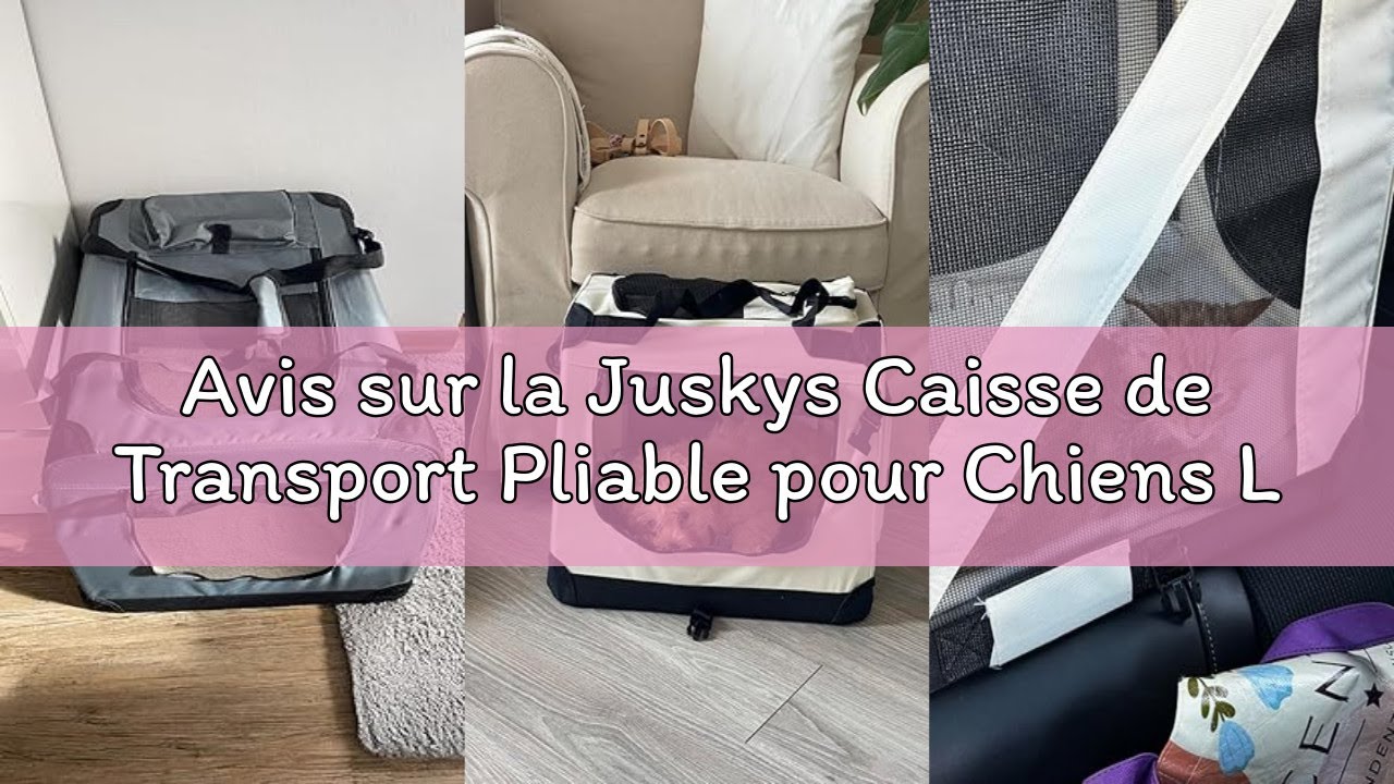 Avis sur la Juskys Caisse de Transport Pliable pour Chiens Lassie L (Gris) - 50 x 70 x 52 cm - Caiss