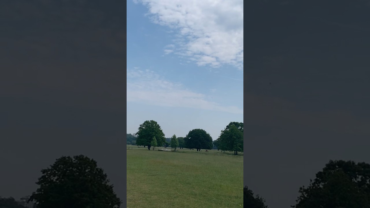 Crashing the FLITETEST MINI ARROW rc wing 