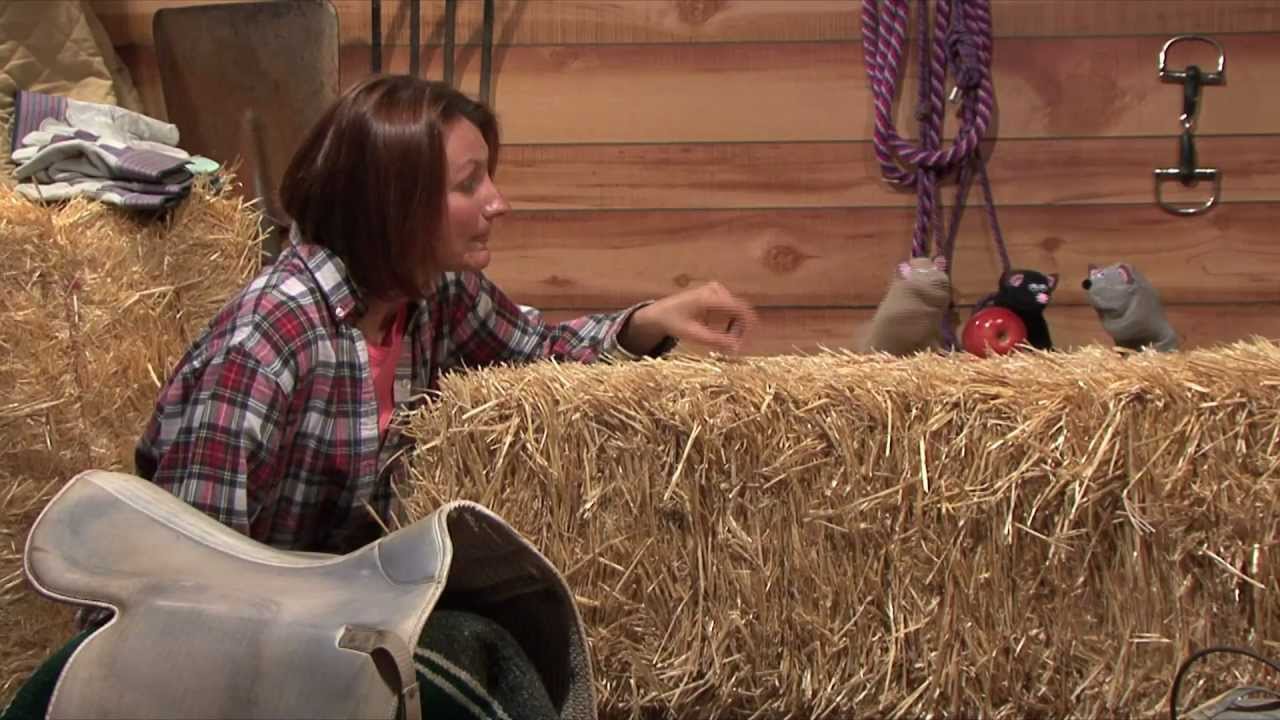 Mrs. Campbell's Farm: pilot work in Progress