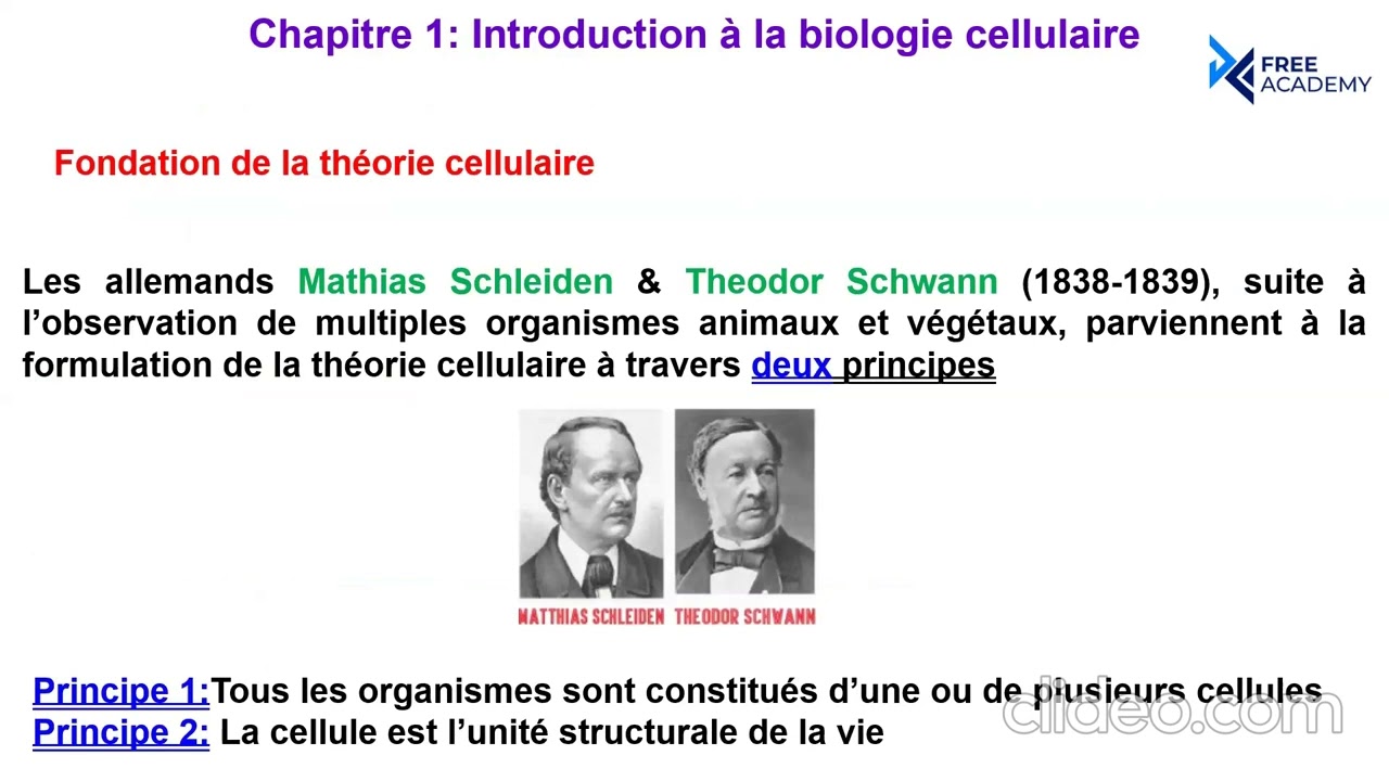 [PREPA 1 - 2025 / 2026] [BG] [Biologie cellulaire] Introduction à la Biologie cellulaire
