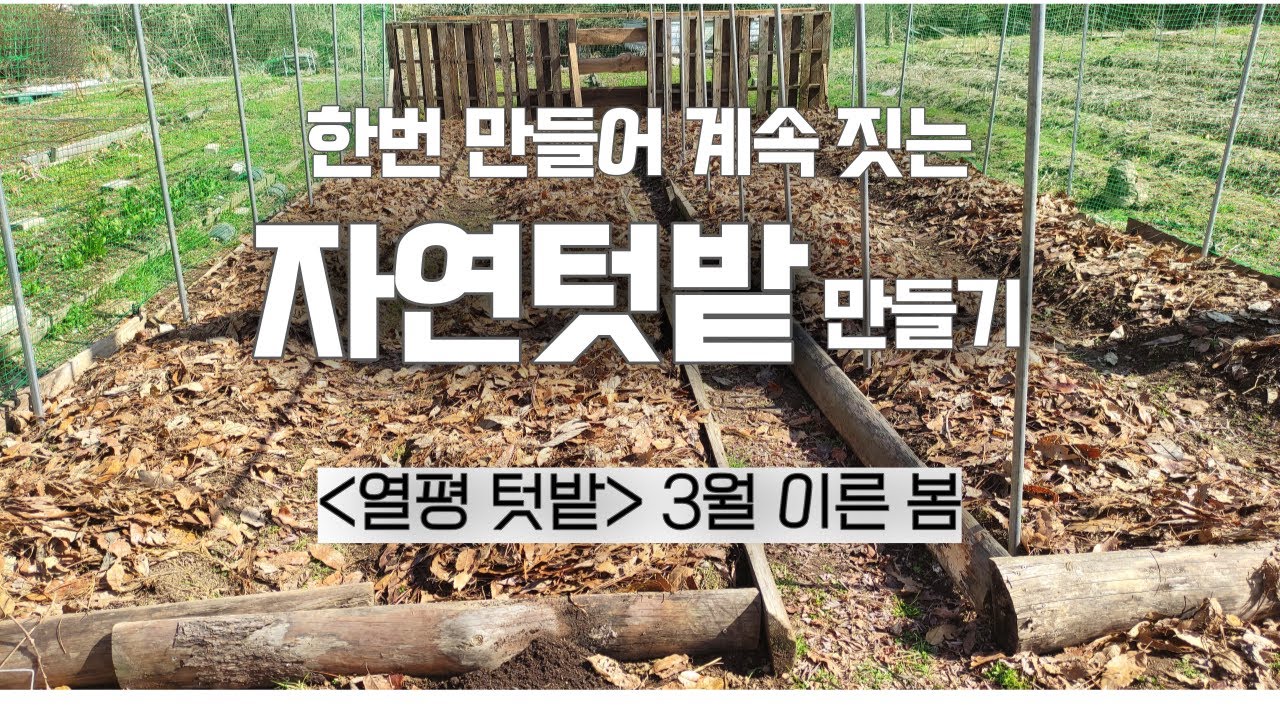열평 텃밭(1) / 갈지 않고 계속 농사지을 수 있는 자연텃밭 만들기 Making a natural garden  without digging it