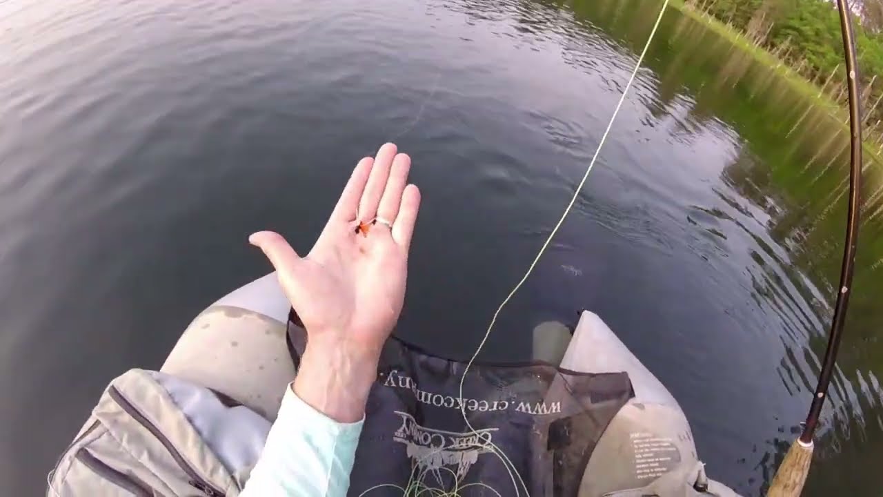 Fly Fishing for Bass and Bluegill With My 2 and 3 Weight Rods
