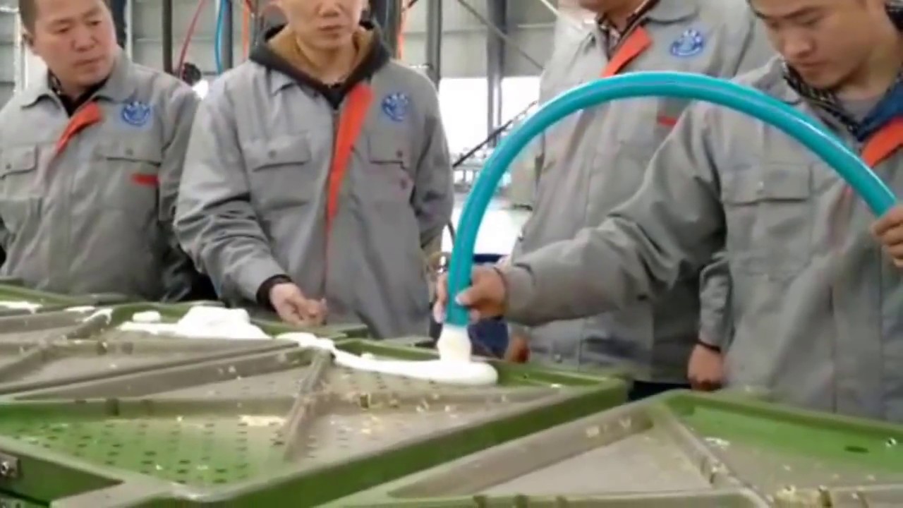 Dunlop tech latex foam pillow automatic production line