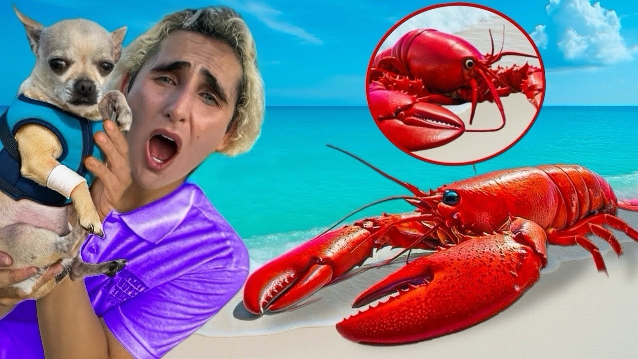 LOBSTER ATTACKED OUR DOG…IS HE HURT? 😱😭