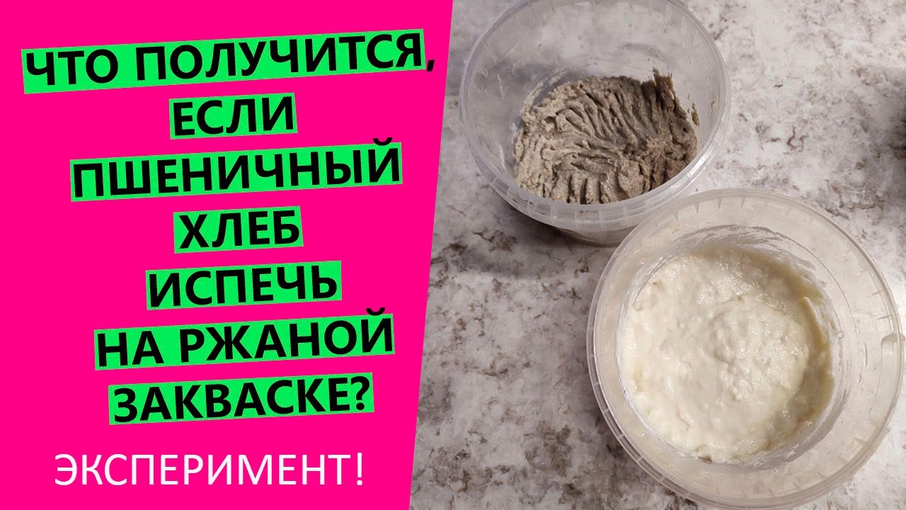 Можно ли печь 🧐😲пшеничный хлеб на ржаной закваске? НАГЛЯДНЫЙ ЭКСПЕРИМЕНТ!