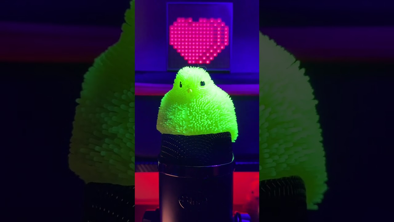 First no talk ASMR