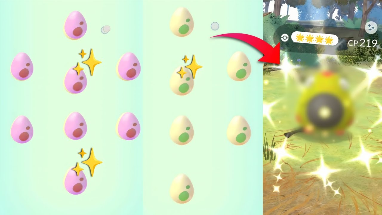 Hatch Event Eggs For This Shiny But Got From Wild 
