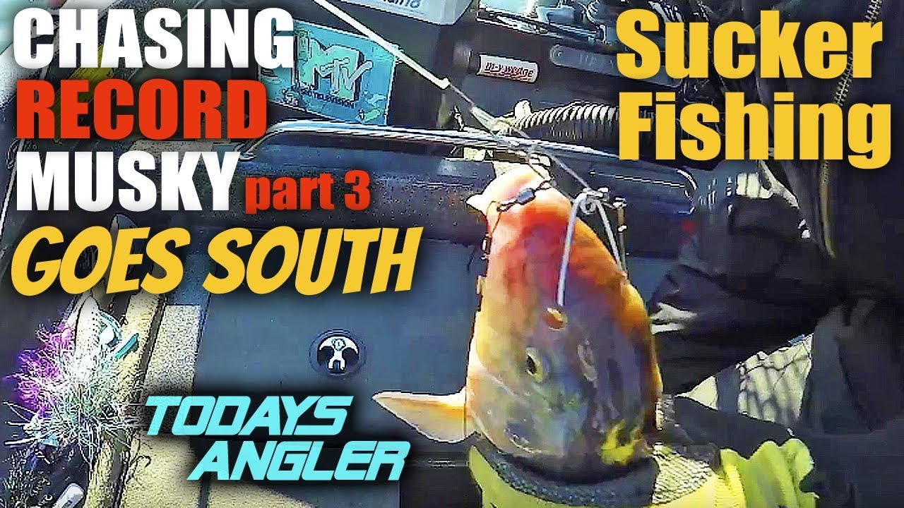 Chasing Record Musky part 3 - GOES SOUTH Sucker Fishing - Todays Angler