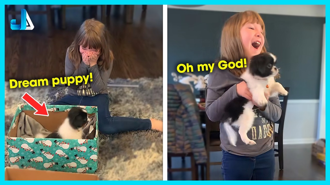 💕 The Cutest Puppy Surprise Ever Caught on Camera | Best Surprise Ever